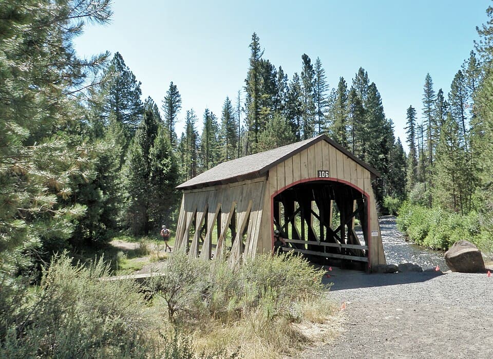 Golden Leaf Half Marathon