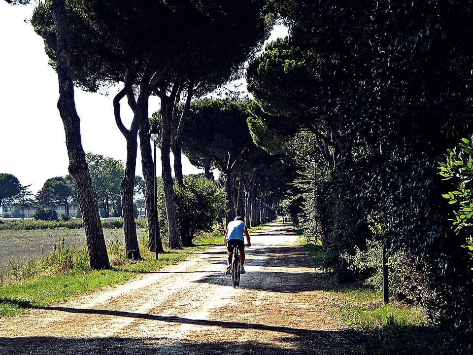 5 EcoMaratona Pratese