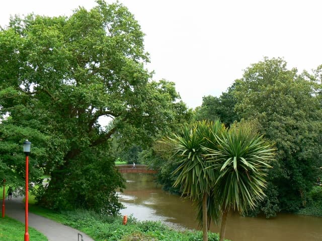 Chippenham Half Marathon