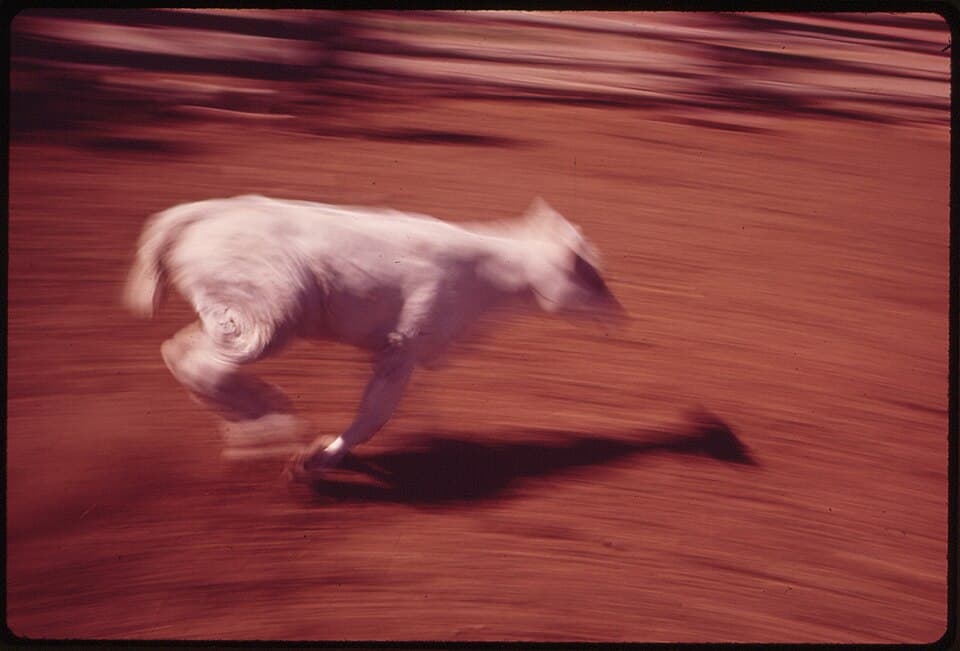 Race the Lake Marathon