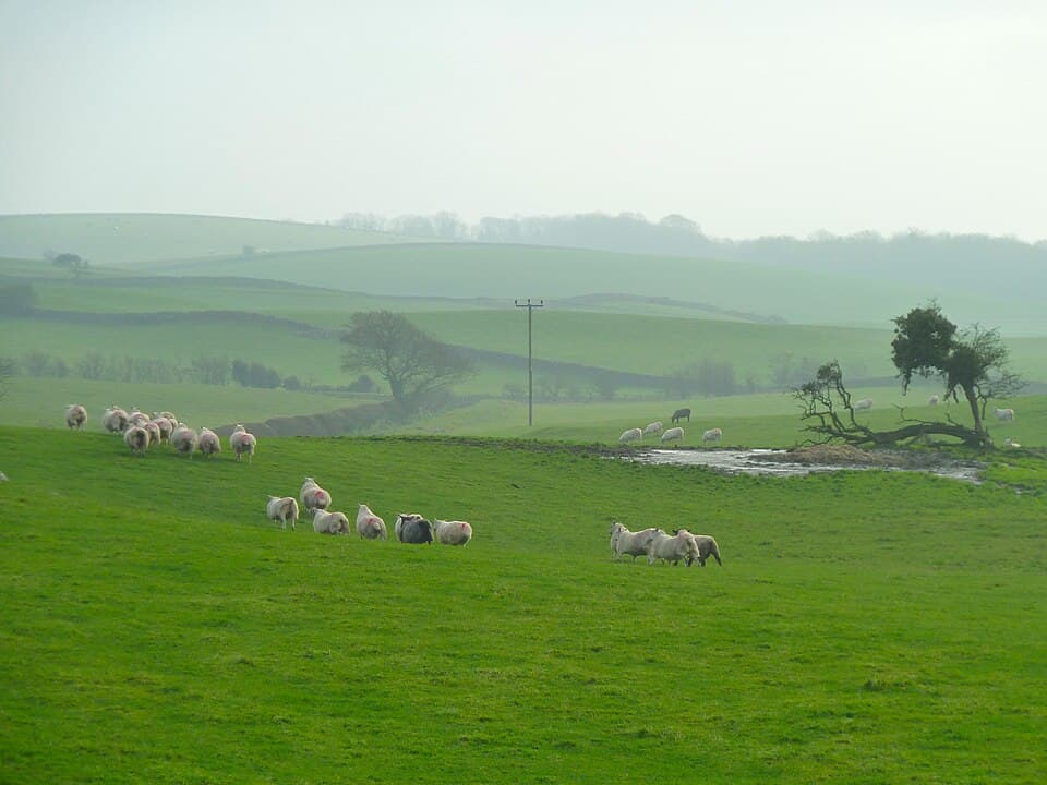 King's Palace / Koenig Ludwig Marathon