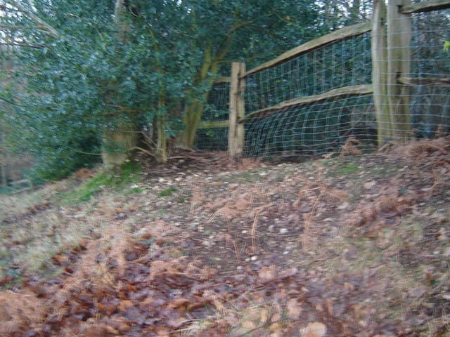 Farnham Pilgrim Marathon