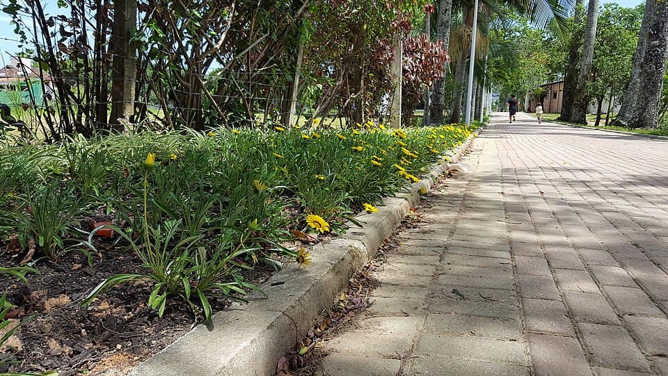 Meia Maratona Internacional de Florianópolis