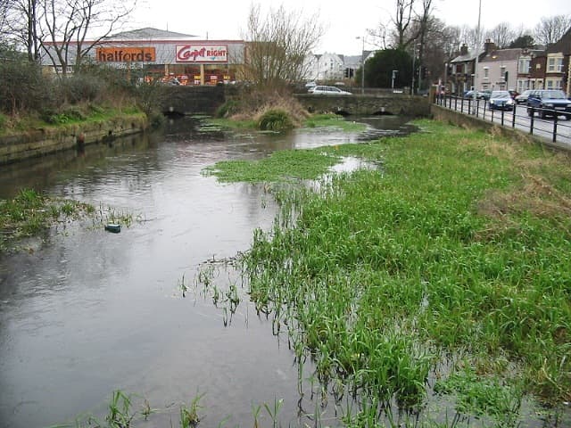 Run with the Horses Marathon