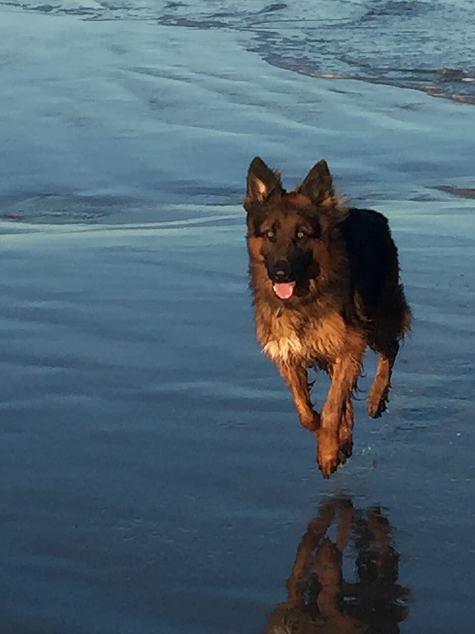 Big Beach Marathon and Half Marathon