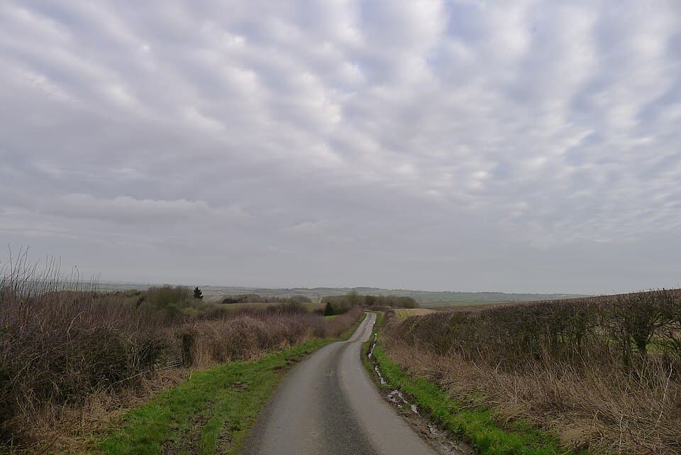 Halstead & Essex Marathon