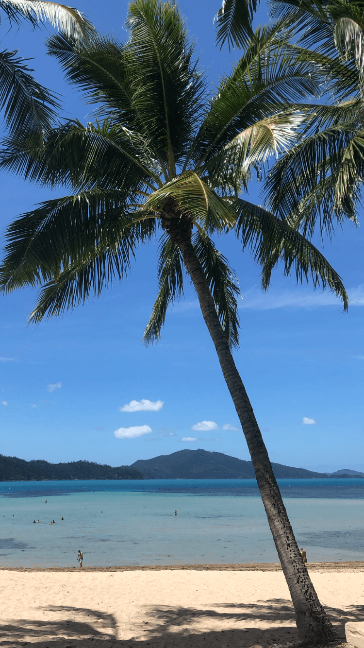 Hamilton Island Hilly Half Marathon