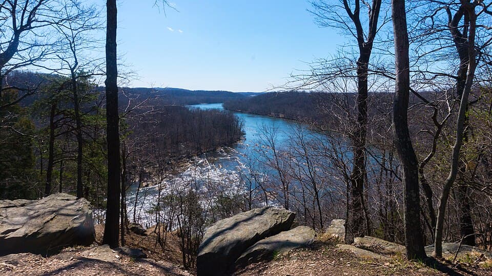 Freedom's Run Half Marathon