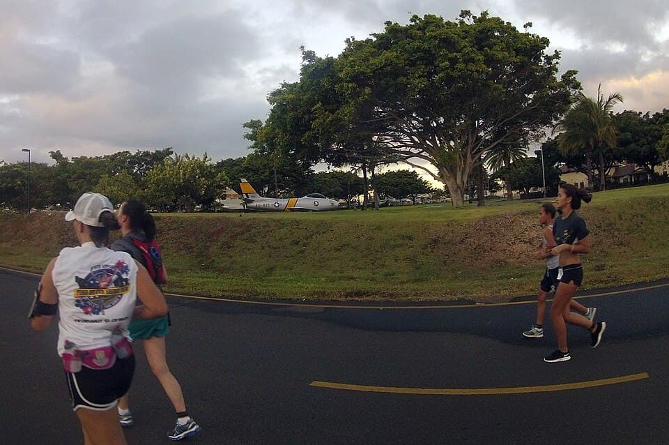 Hawaii Bird Conservation Marathon