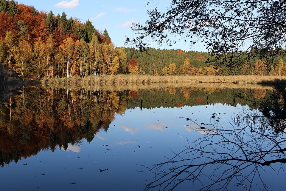 Königsforst Marathon