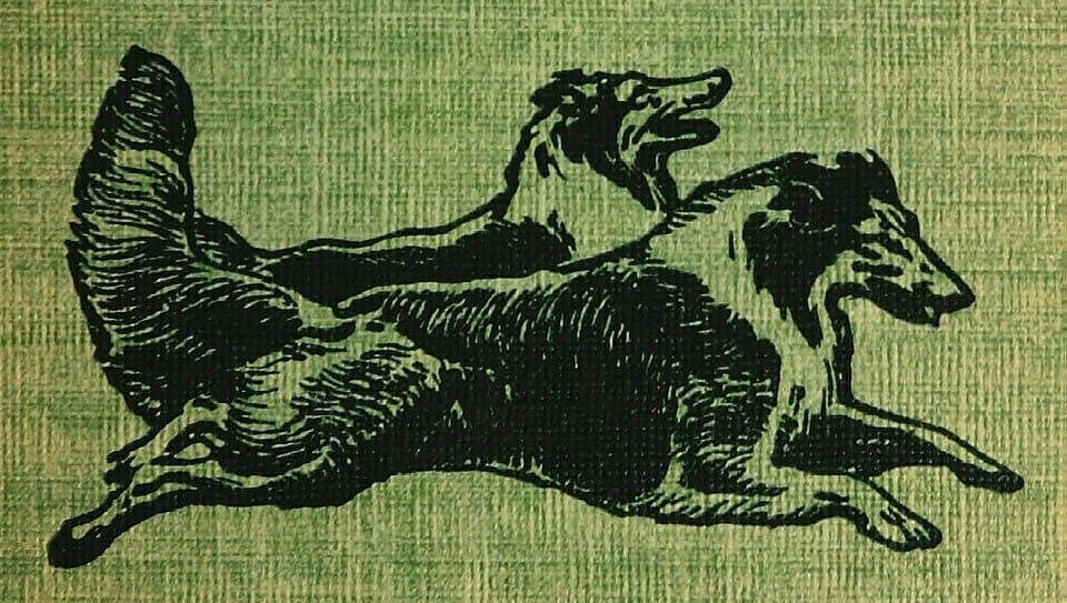 Runtastic NEBO Marathon