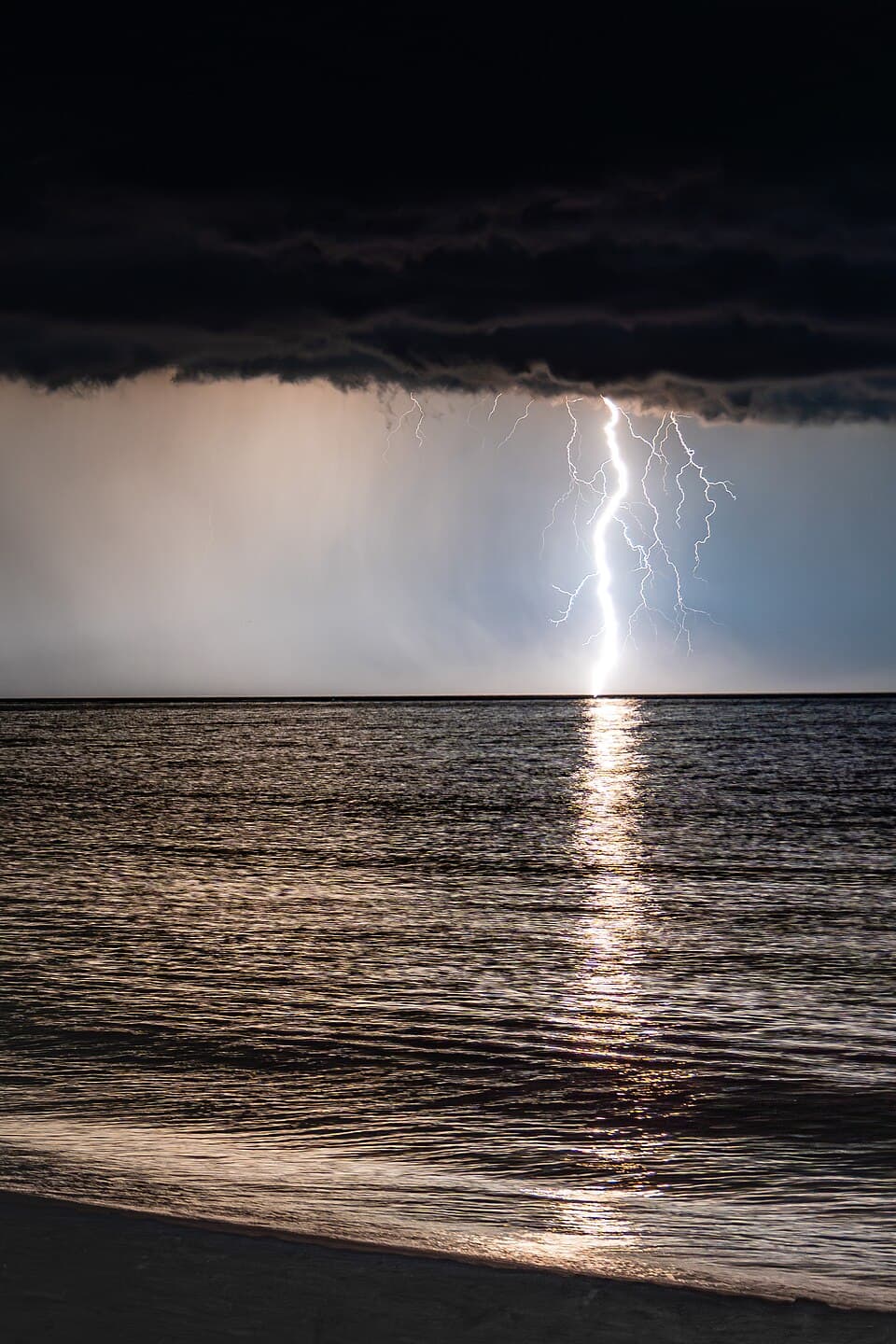 Coastal Delaware Running Festival