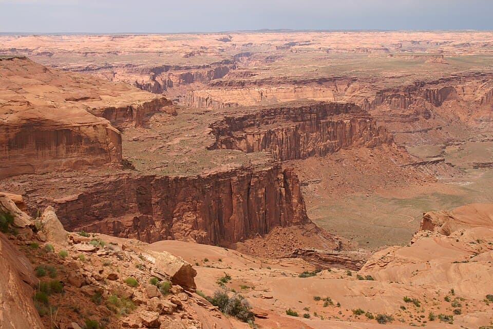 Urban Wildland Half Marathon & 5K (Richfield, MN)