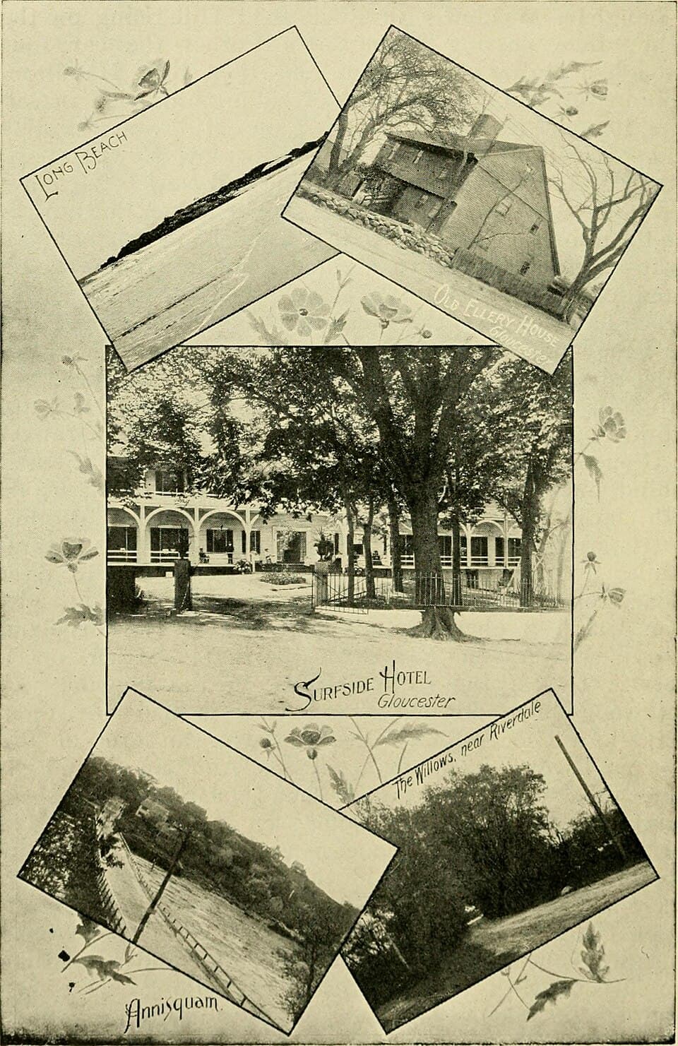 Triple Threat Half Marathon