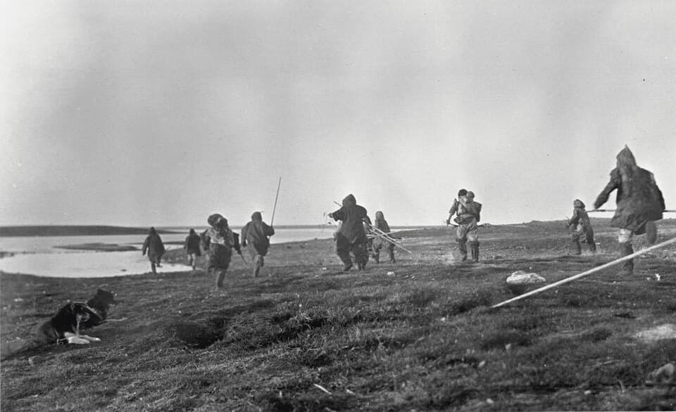 Leading Ladies' Marathon & Half Marathon