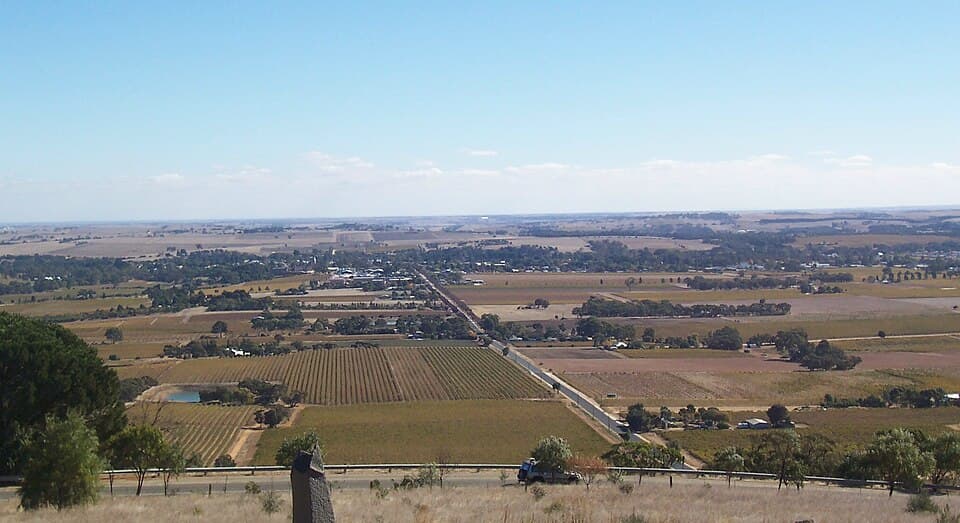 Barossa Marathon Festival
